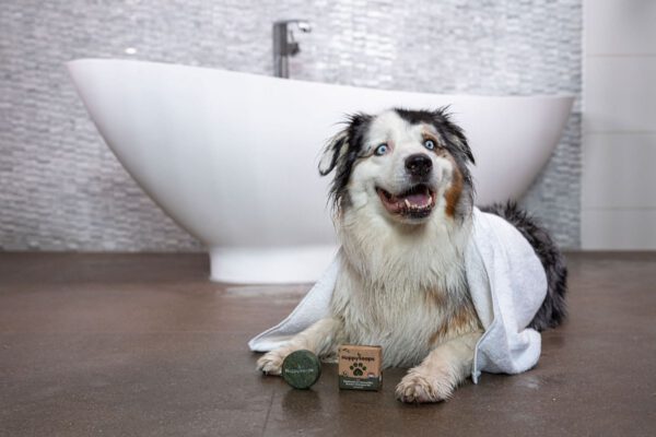 honden shampoobar neutraal sweetsoap happysoaps